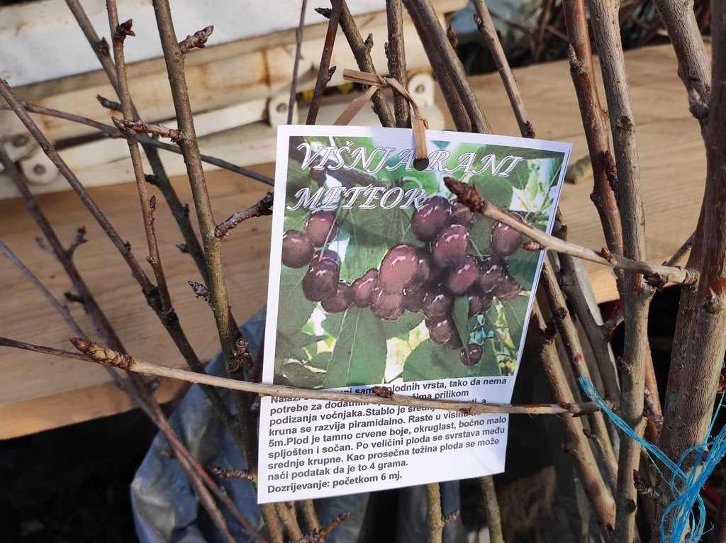 SAJAM SRIJEDOM Jeste li već probali meksički krastavac ili čajot?