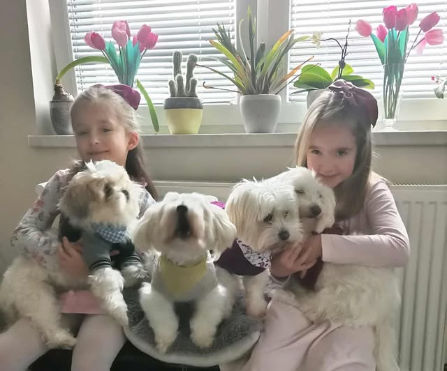 obitelj Škvorc Valentina udomljavanje