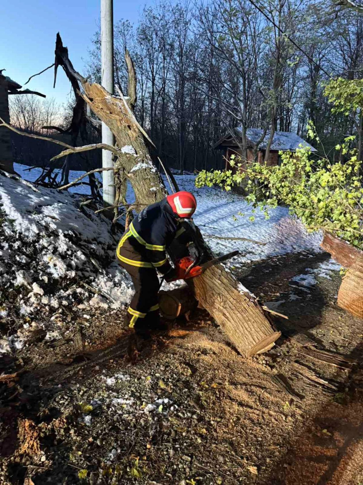 Intervencija dvd selnica stablo na putu