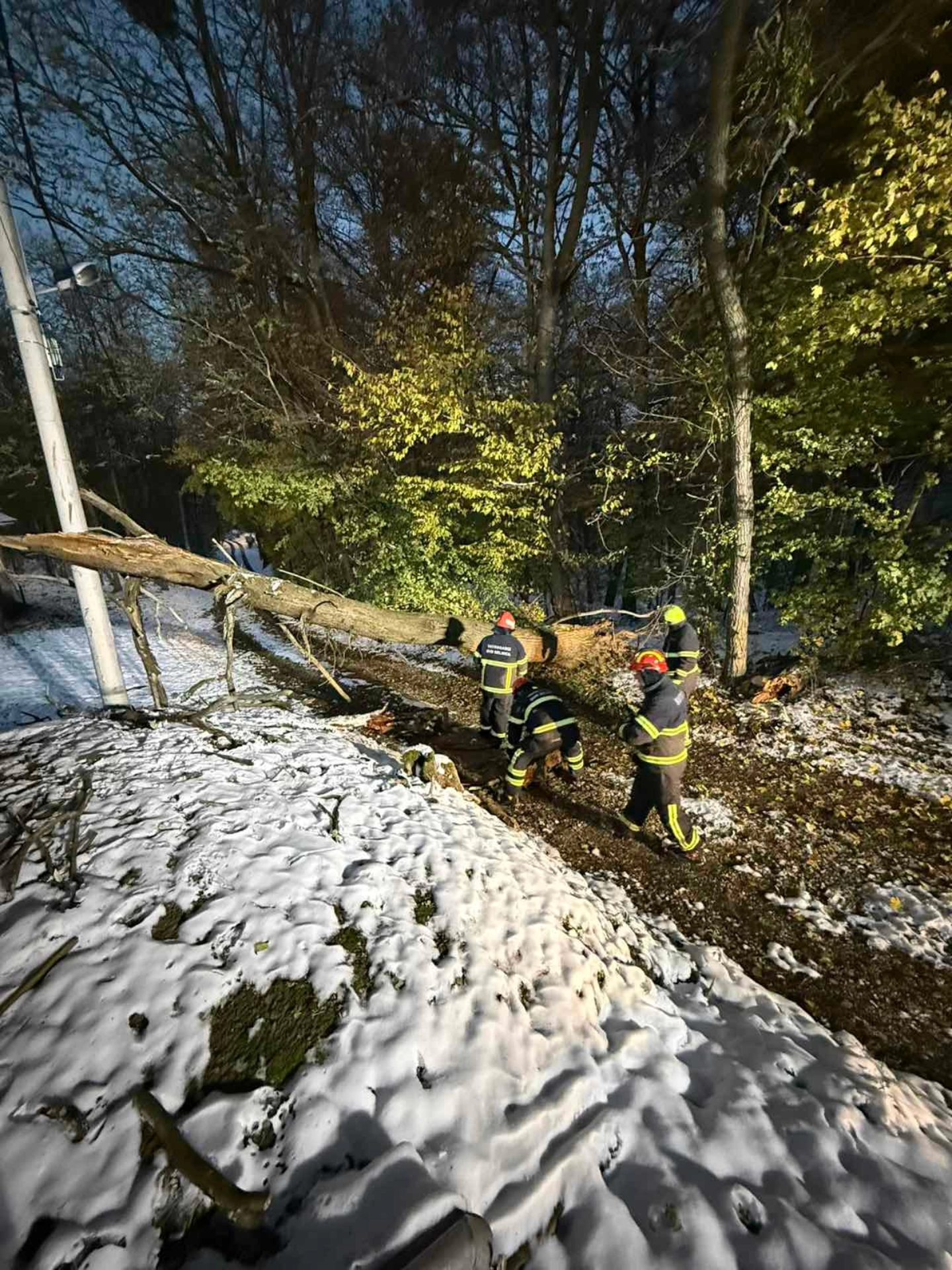 Intervencija dvd selnica stablo na putu