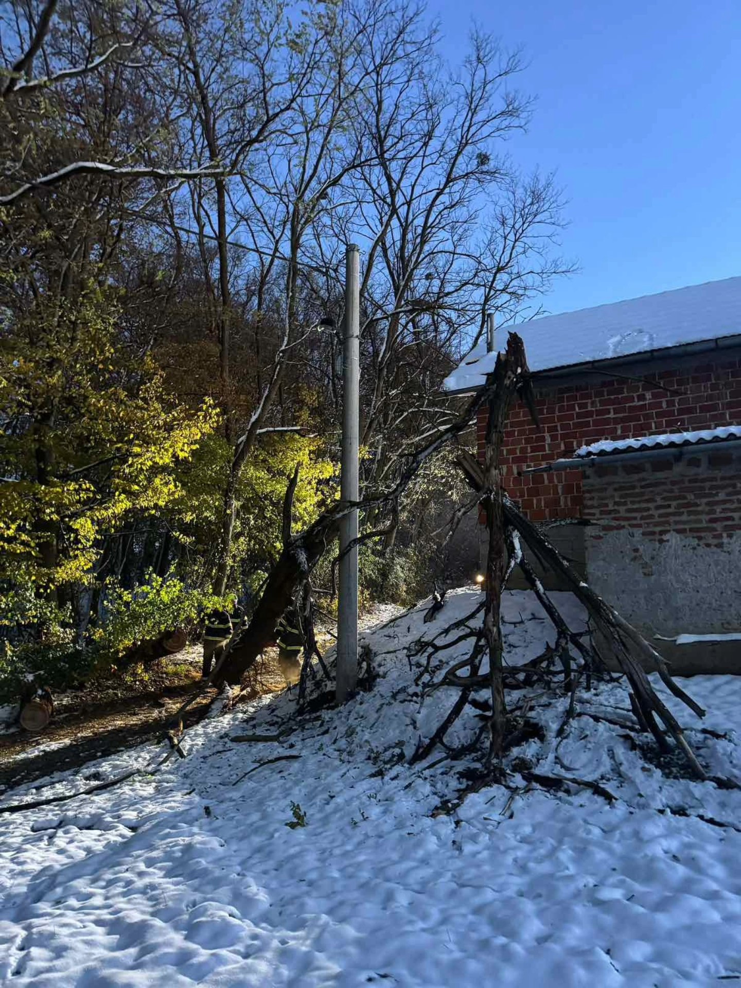 Intervencija dvd selnica stablo na putu