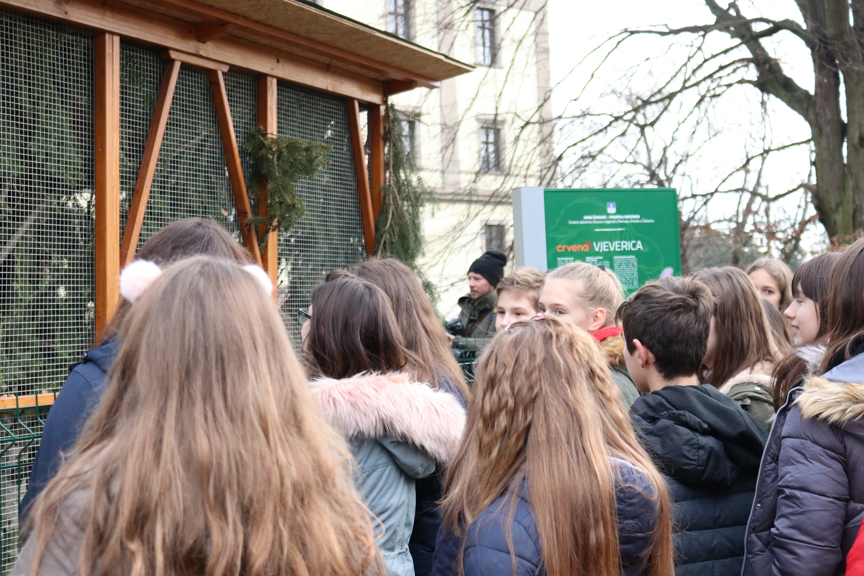 Crvene vjeverice stigle u Čakovec