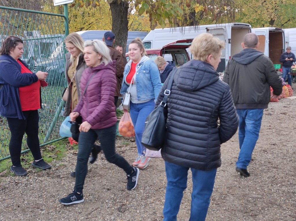 SAJAM SRIJEDOM Jeste li već probali meksički krastavac ili čajot?