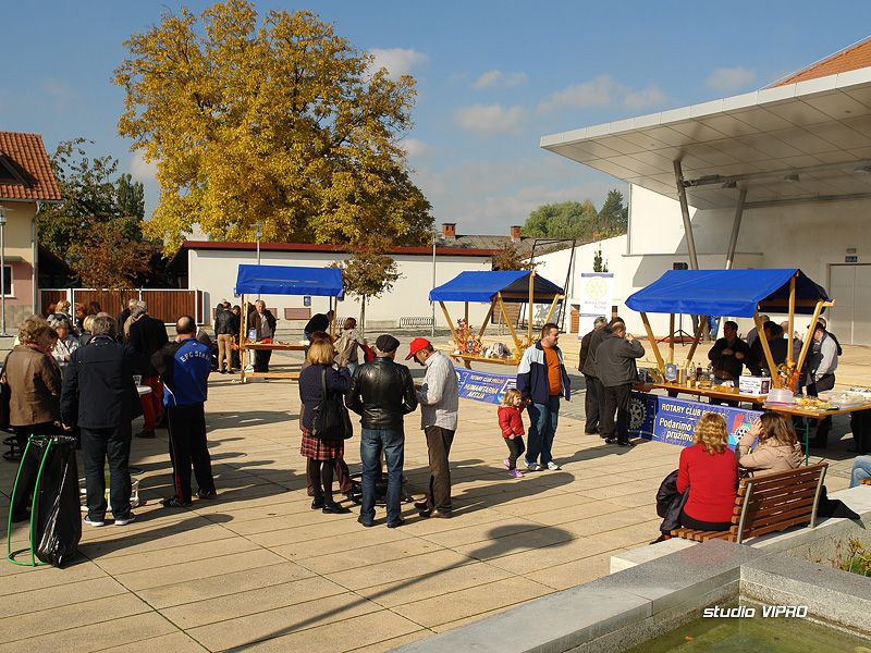 317713415dsc04282279073