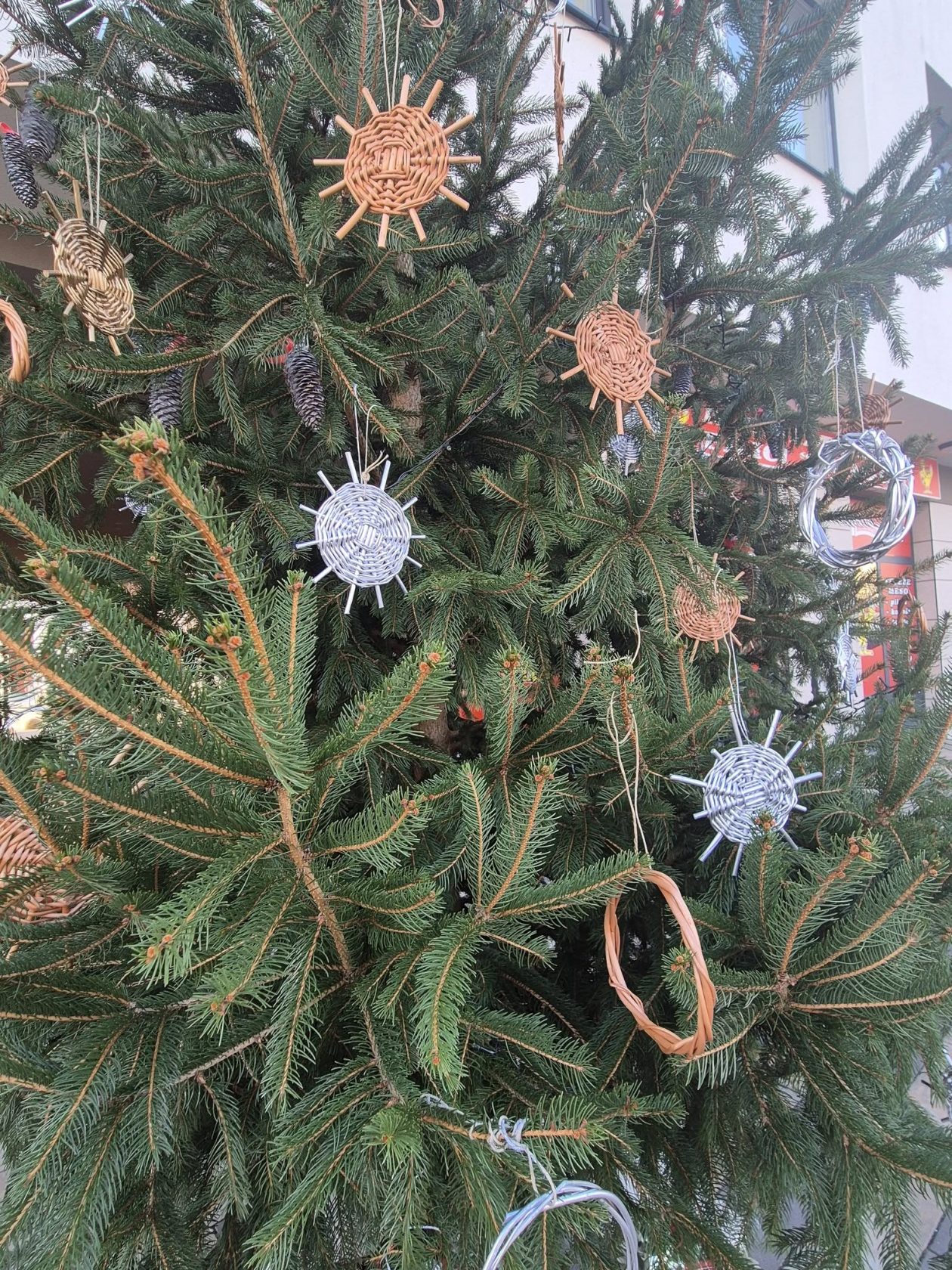 Korpaški bor Kotoriba