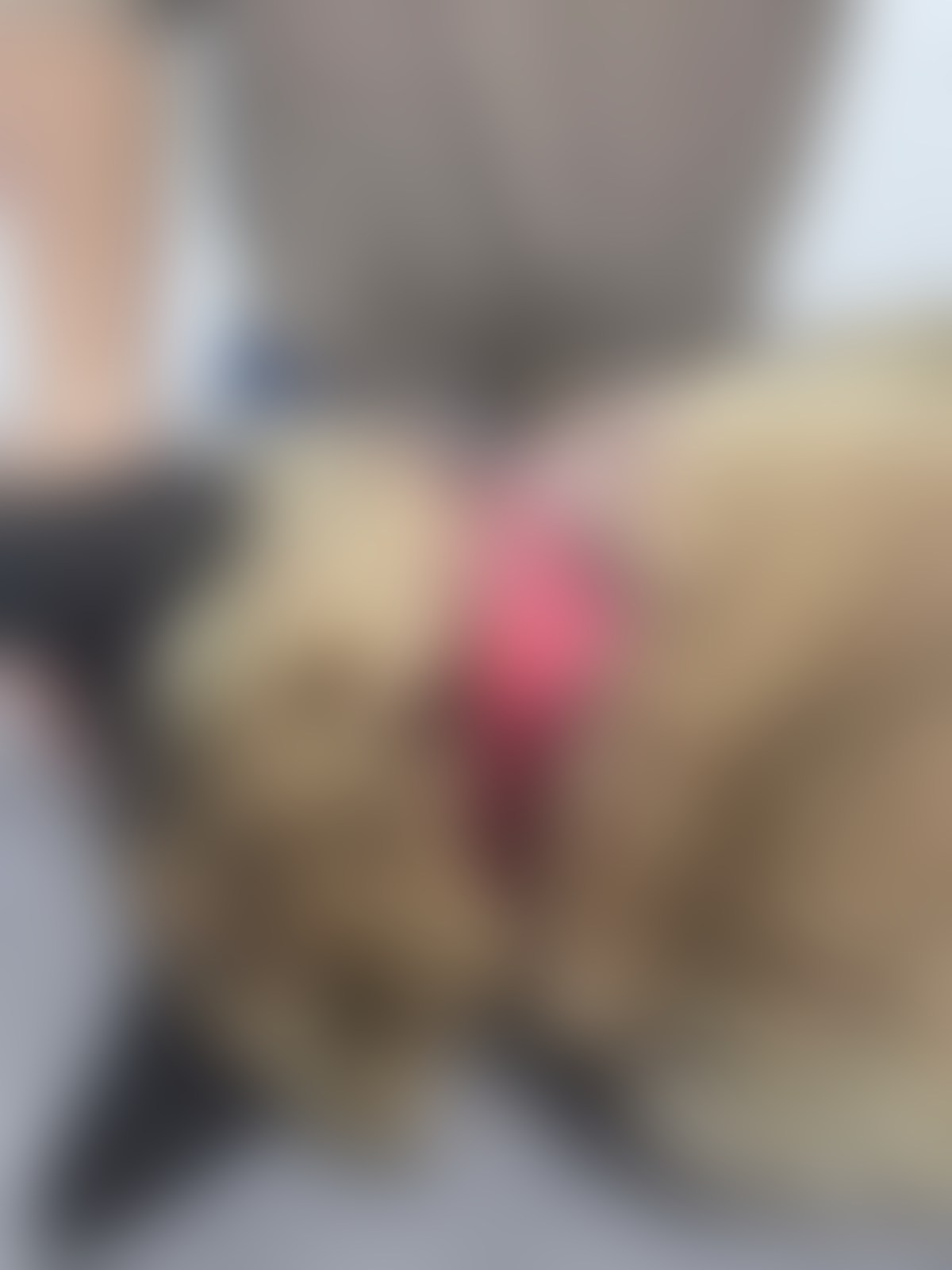 Azil Prijatelji Čakovec