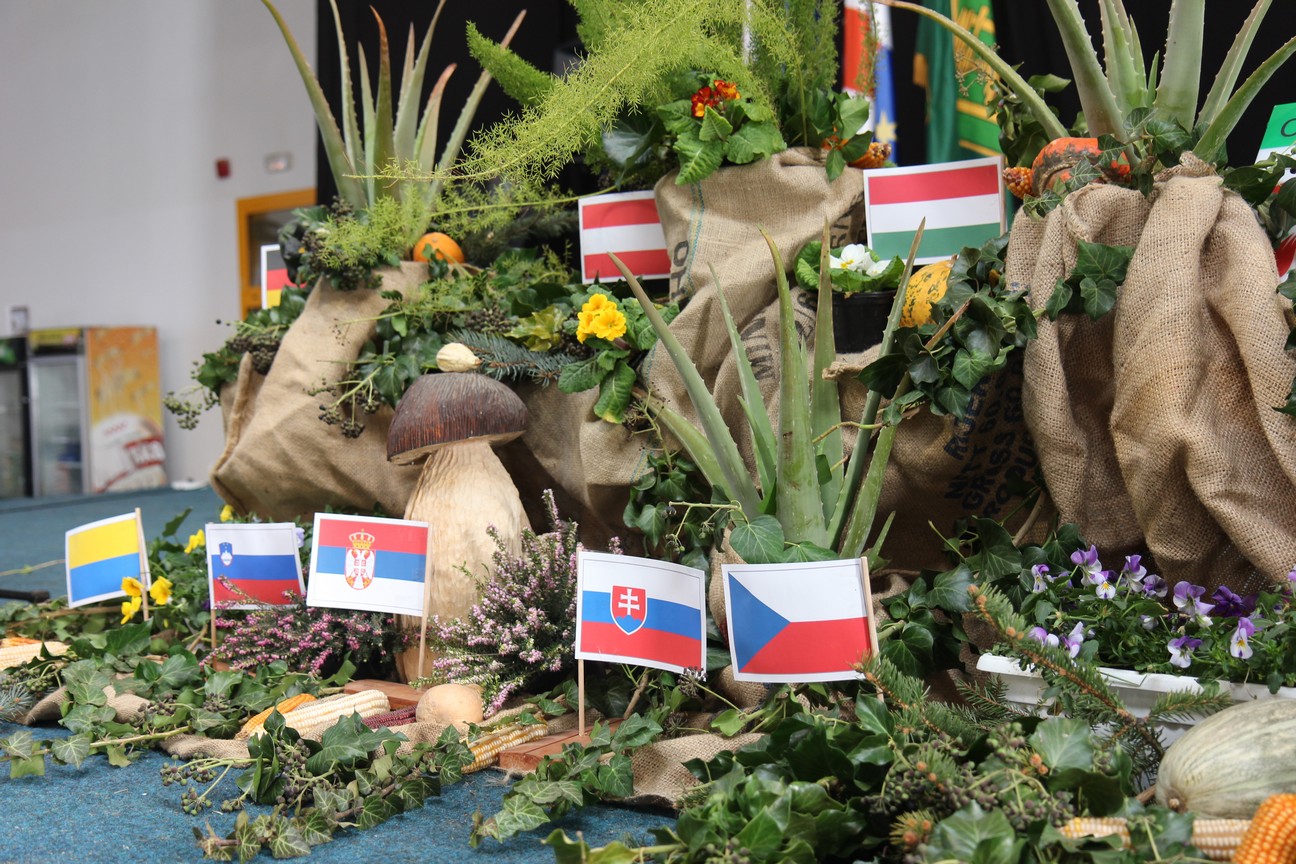 Otvorena izložba malih životinja u Nedelišću