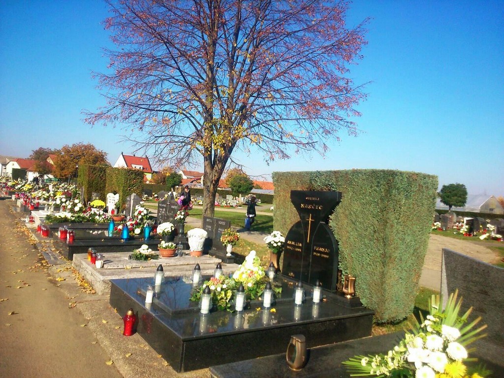 eafabee63c794cfe6e28b15d0263d48