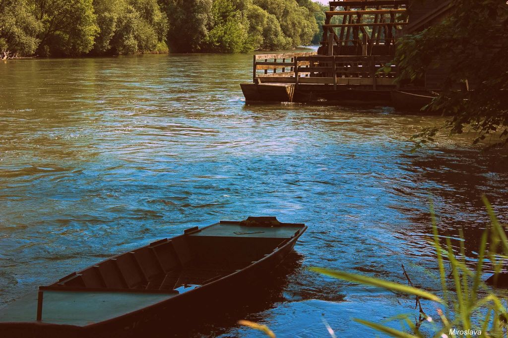 1121956810205892360285112659496