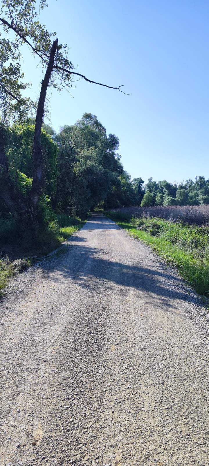POVLAČENJE MURE Krenulo je čišćenje i uređenje šetnice