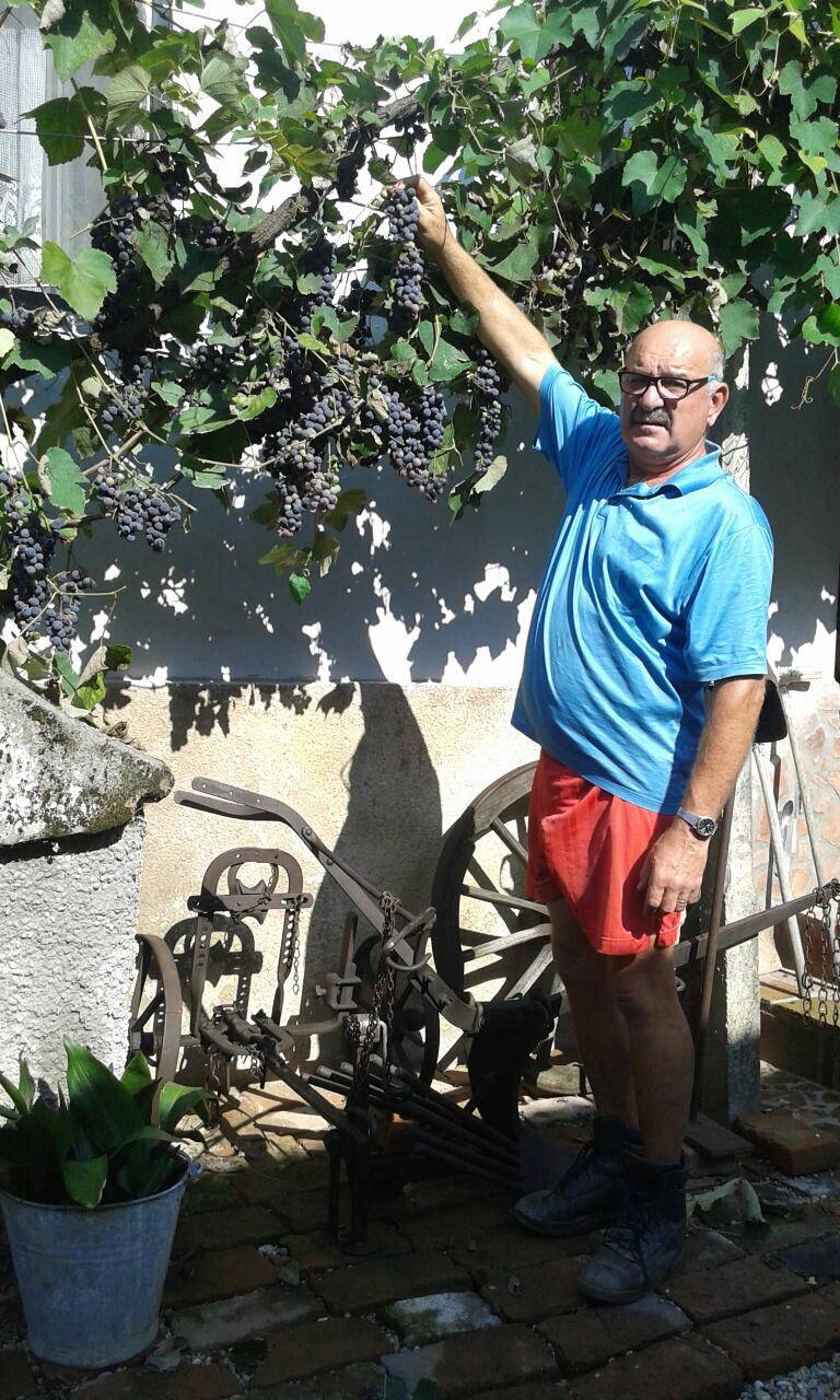 Image 2942139 (auto)