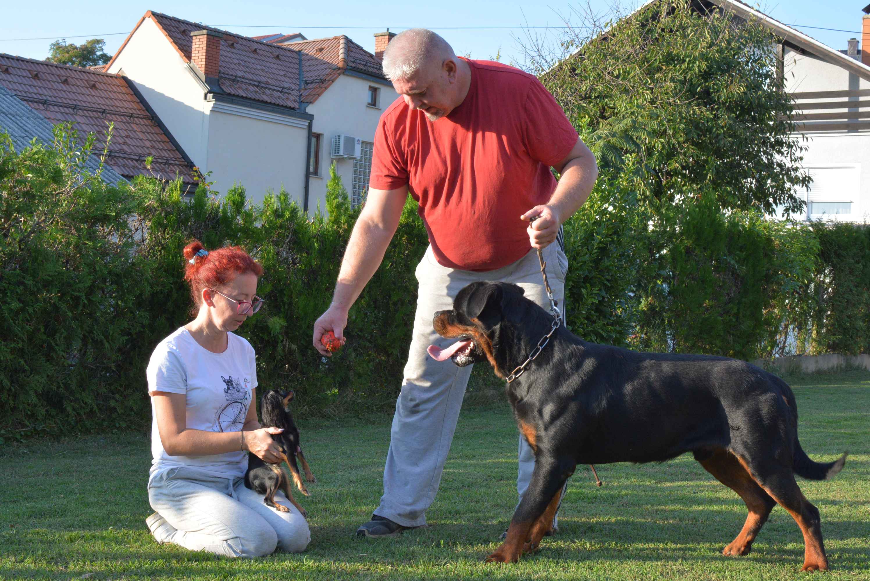 OBITELJ MIKAC IZ MIHOVLJANA Od 2014. godine imaju profinjenu uzgajivačnicu Rottweilera – ‘psi su naša najveća ljubav’ OBITELJ MIKAC IZ MIHOVLJANA Od 2014. godine imaju profinjenu uzgajivačnicu Rottweilera – ‘psi su naša najveća ljubav’