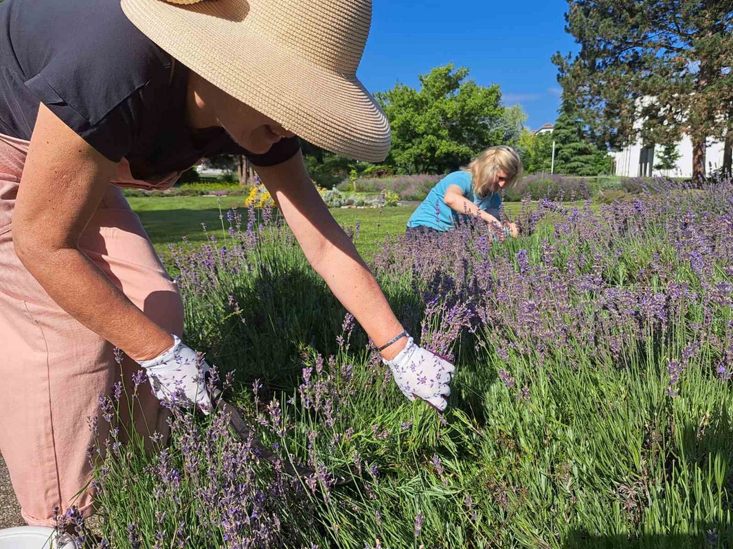 Mirisni vrt ETŠ Čakovec