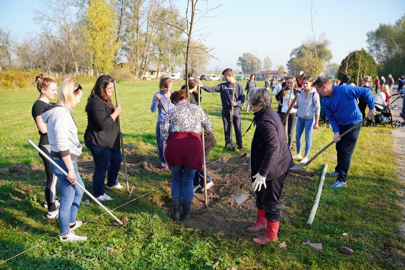Kolektivna sadnja drveća u Goričanu: Brojni mještani uključili se u akciju!