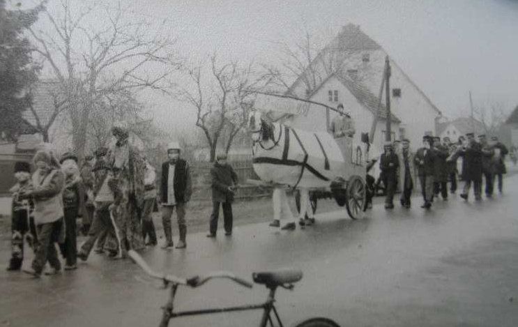 kotoripskifasenk131120977