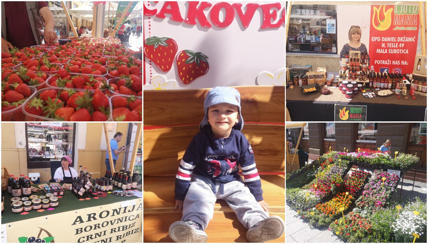 Festival cvijeća, jagoda i tradicije u Čakovcu