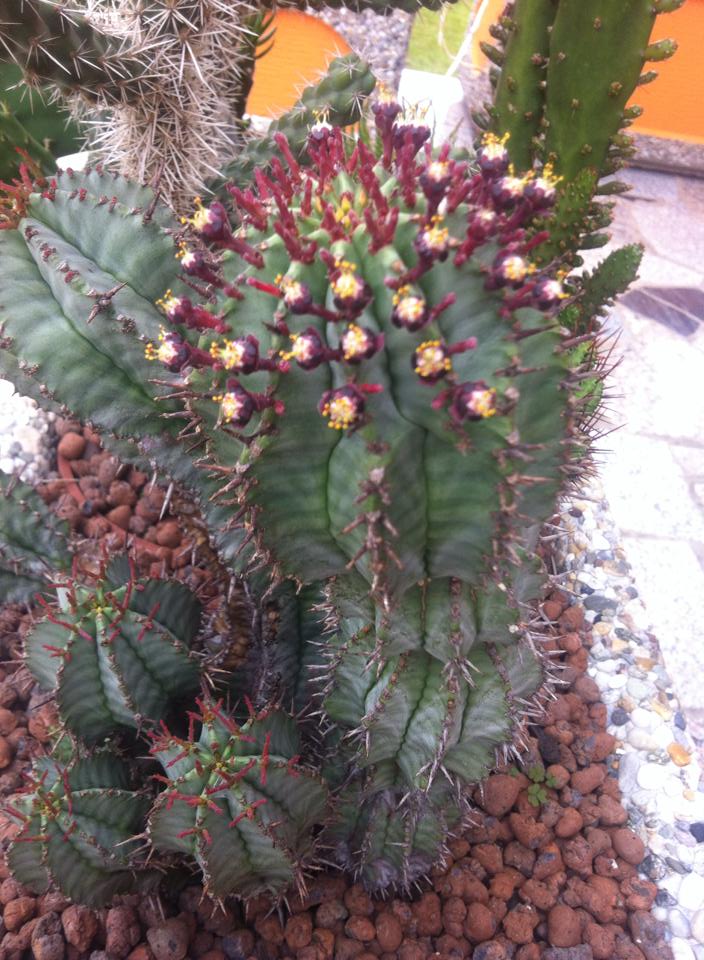 1390523869134199844324785957283