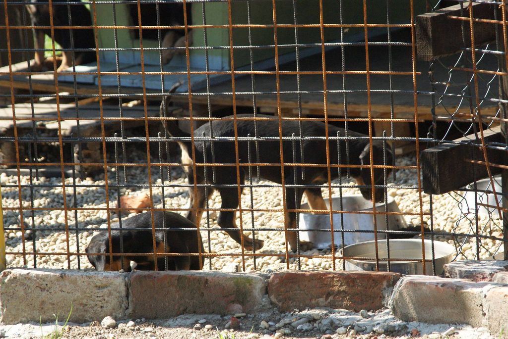 1204377210208324028647483189500