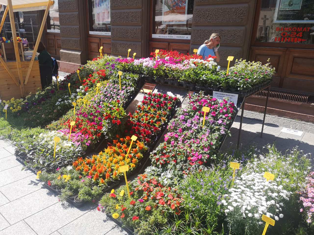 Festival cvijeća, jagoda i tradicije u Čakovcu