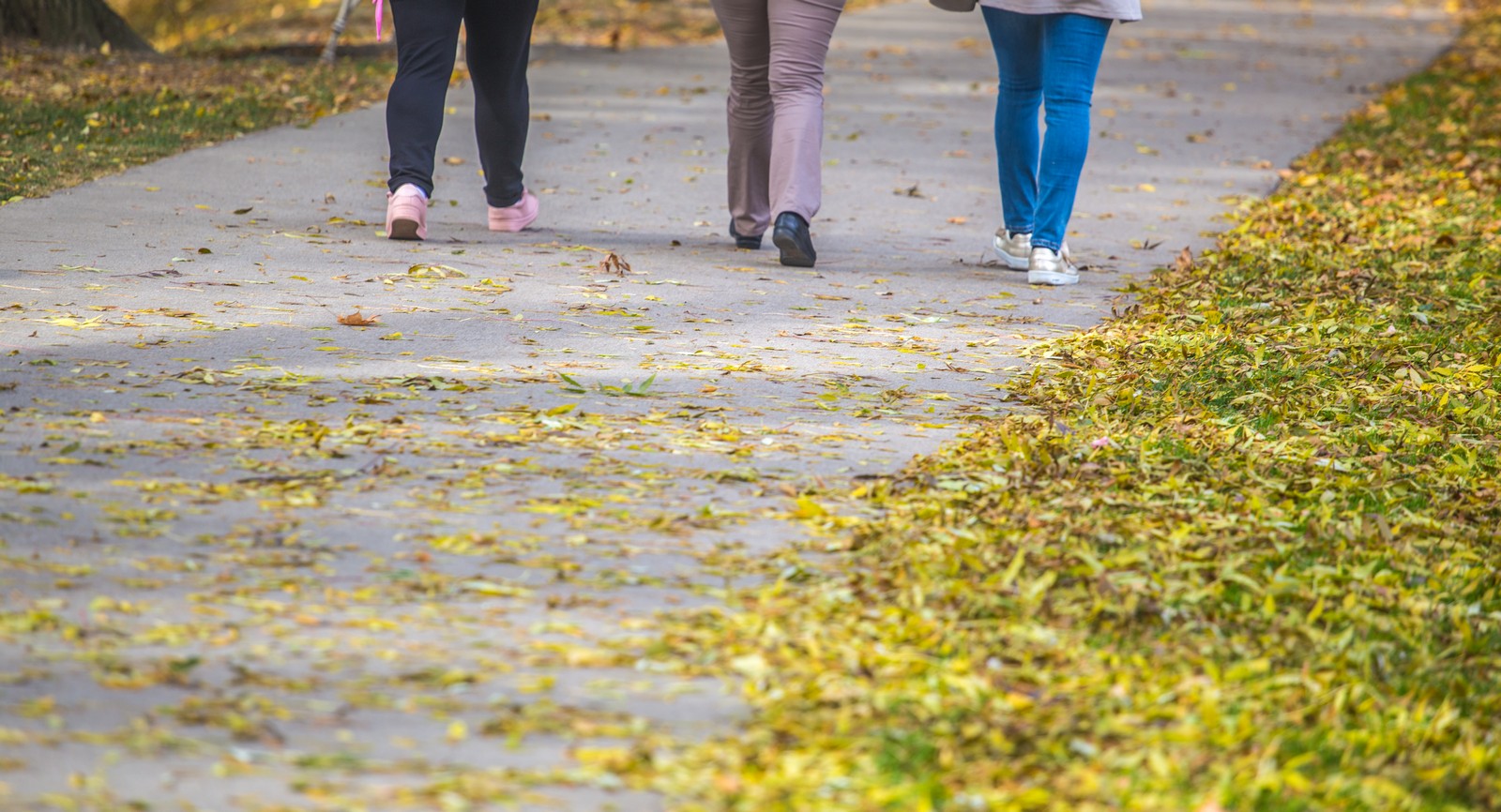 Čarobna jesen: Naša Miroslava Novak prošetala je čakovečkim parkom i snimila šarenilo jesenskih boja. Predivno, zar ne? (y) :-)