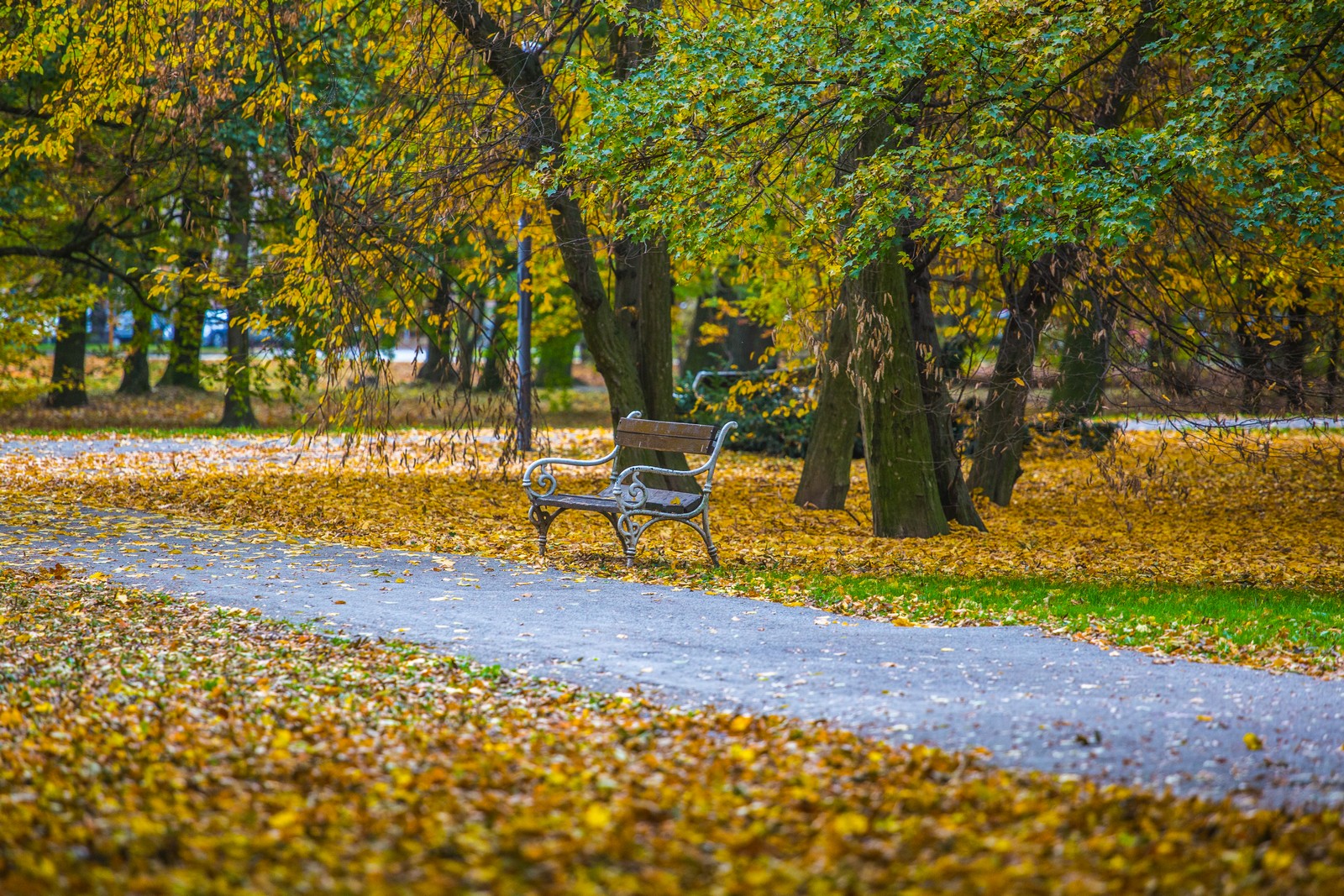 Čarobna jesen: Naša Miroslava Novak prošetala je čakovečkim parkom i snimila šarenilo jesenskih boja. Predivno, zar ne? (y) :-)