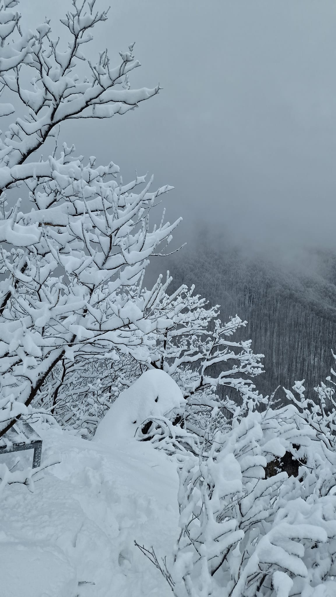 Image 5616139 (auto)