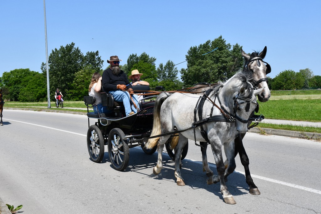 VIDEO I FOTO Međunarodno konjičko druženje okupilo brojne uzgajivače konja iz SZ Hrvatske te Slovenije i Austrije