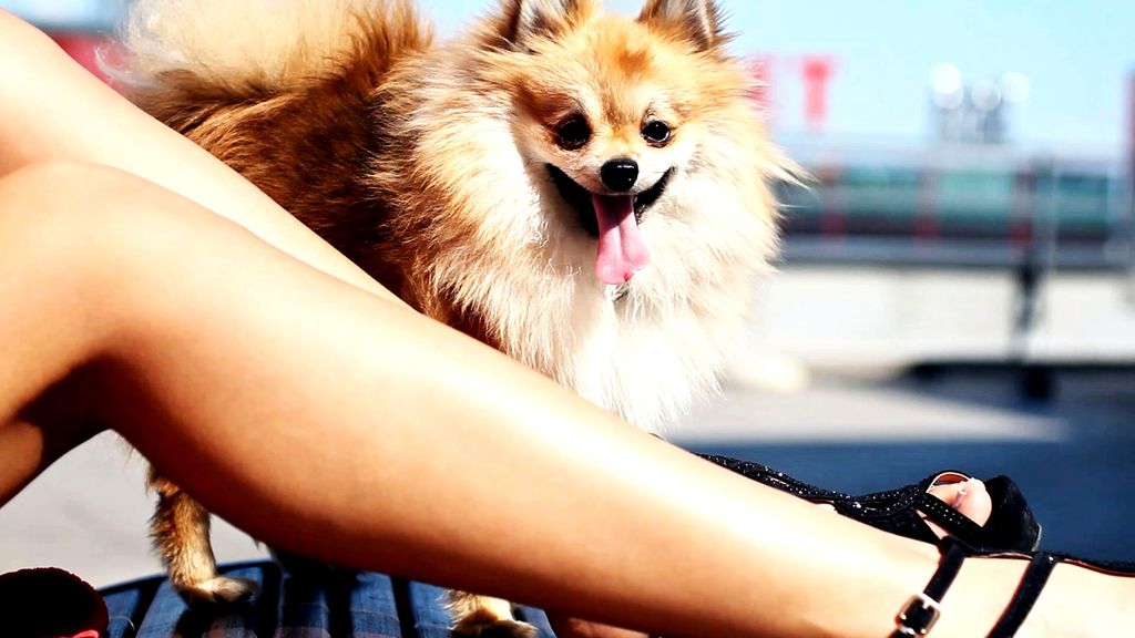 kadarizspotabr3573887