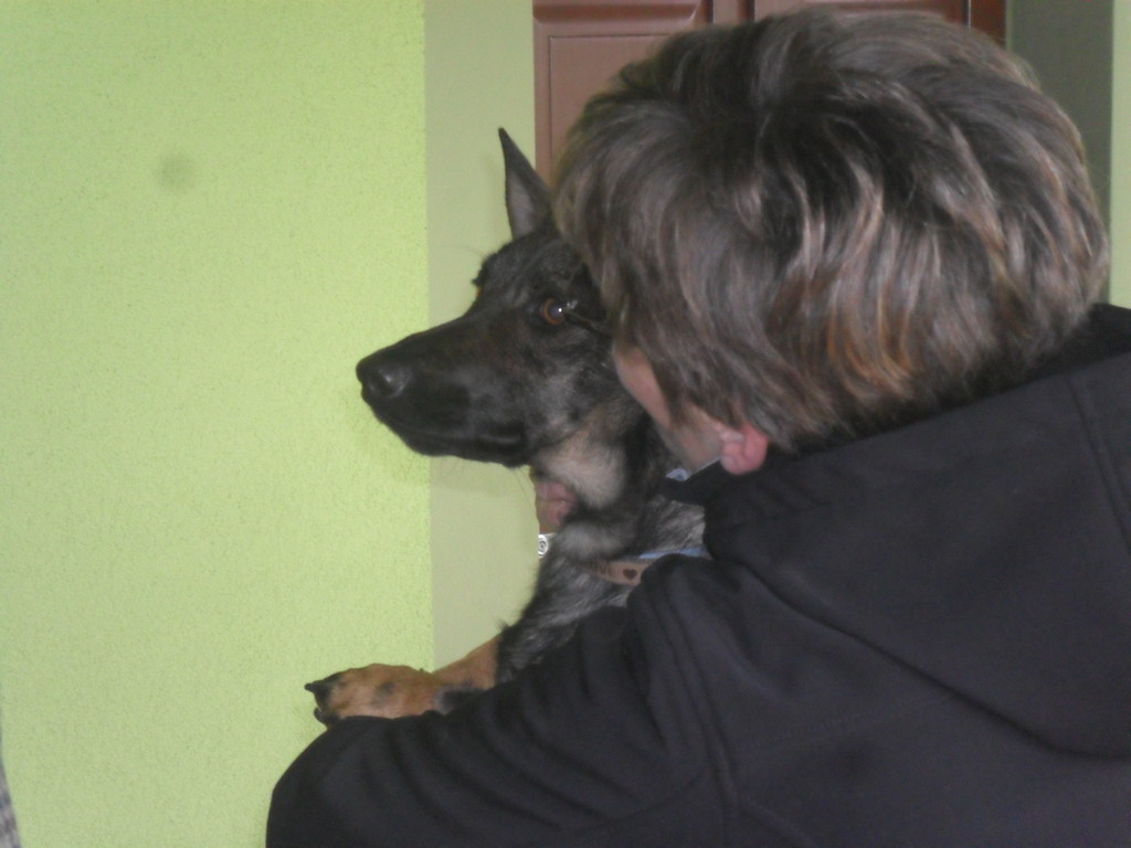 fotografija00008427723