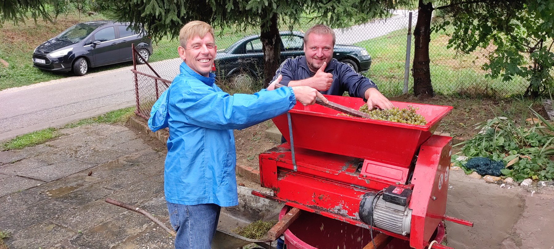 Berba kod obitelji Tomašić