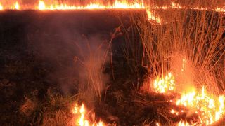 Požar, vatra, spaljivanje Požar, vatra, spaljivanje