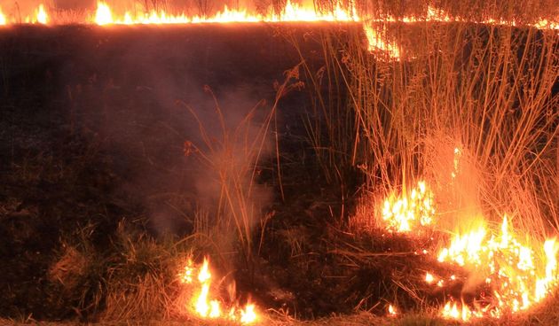 Požar, vatra, spaljivanje Požar, vatra, spaljivanje