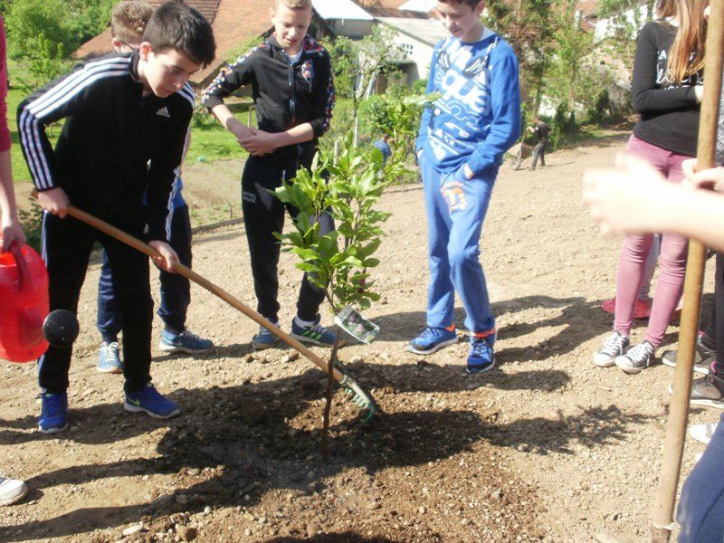danplanetazemlje2016predmetnana