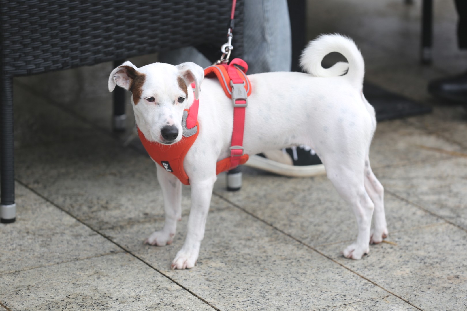 Klikom po Čakovcu (1.10.2022.)