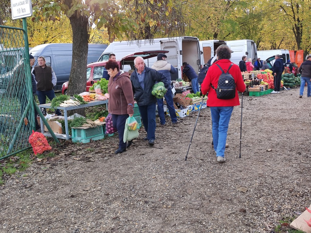 SAJAM SRIJEDOM Jeste li već probali meksički krastavac ili čajot?