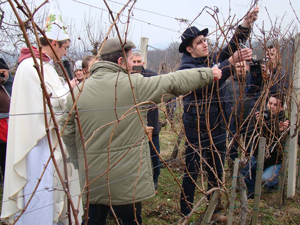 1250756380208503992078117117699