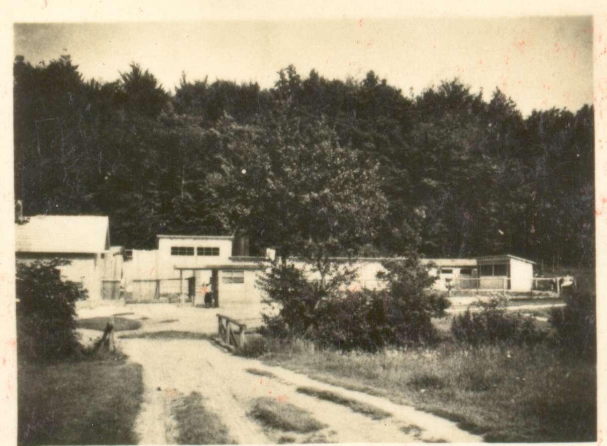 FOTO Sveti Martin na Muri kroz stare i moćne crno bijele fotografije – pogled na jednostavnija vremena