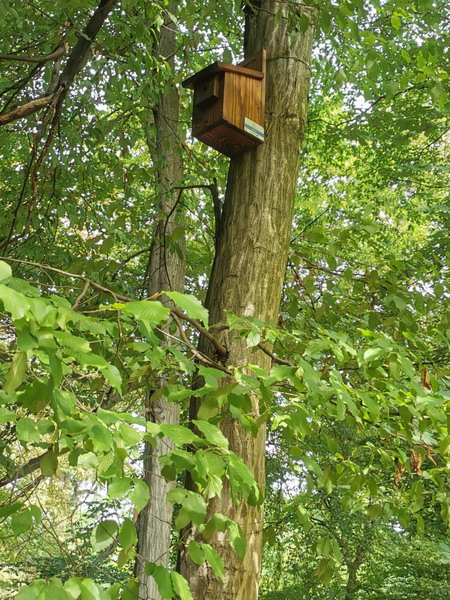 Moderan hotel za korisne kukce u Perivoju Zrinski prima prve goste!