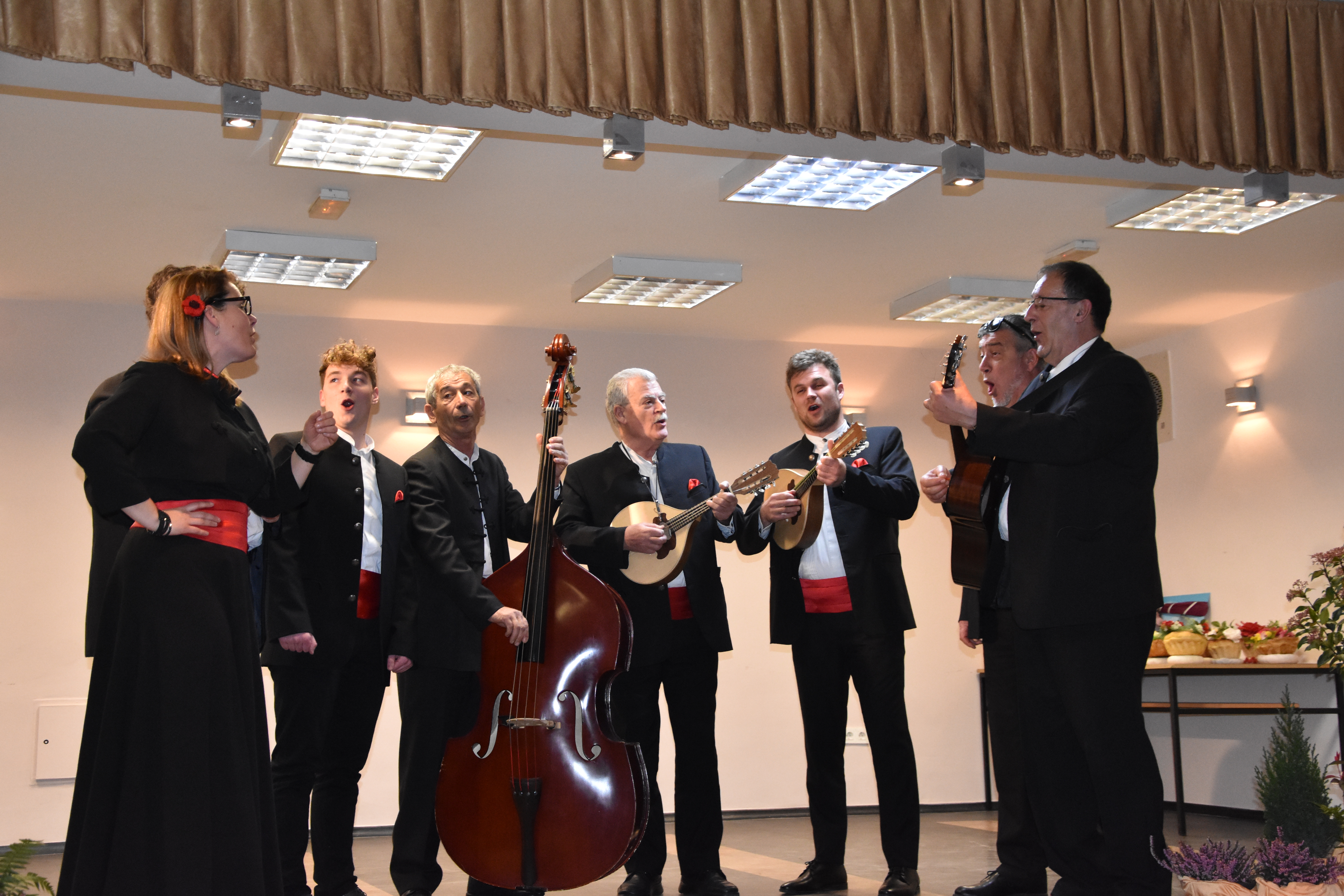 Koncert za MURID u Mihovljanu