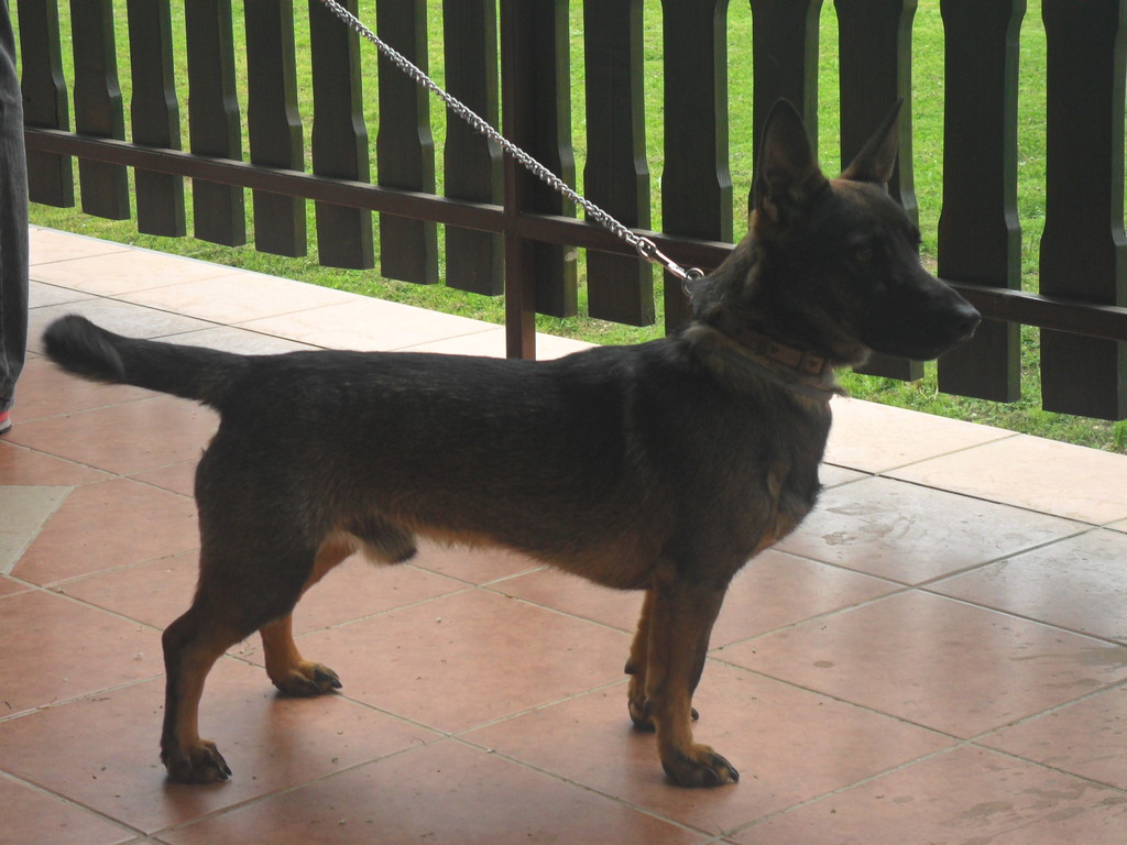 fotografija00011897107