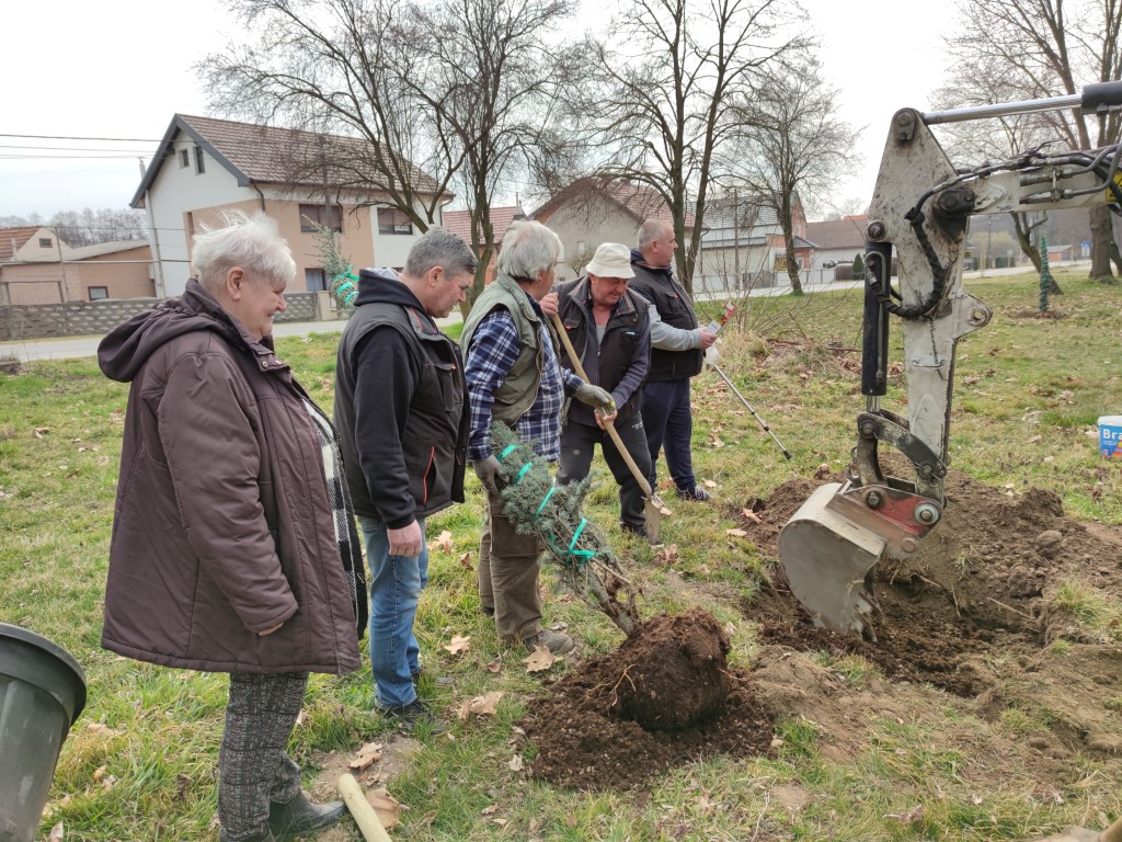 Belica, sadnja parka 2022