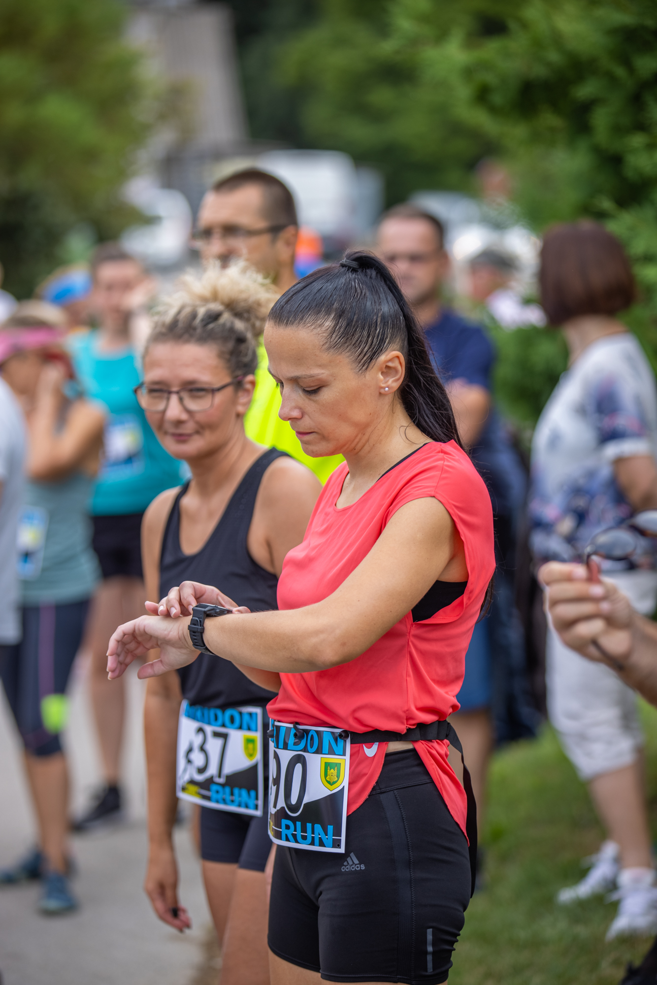 Image 5002812 (auto)