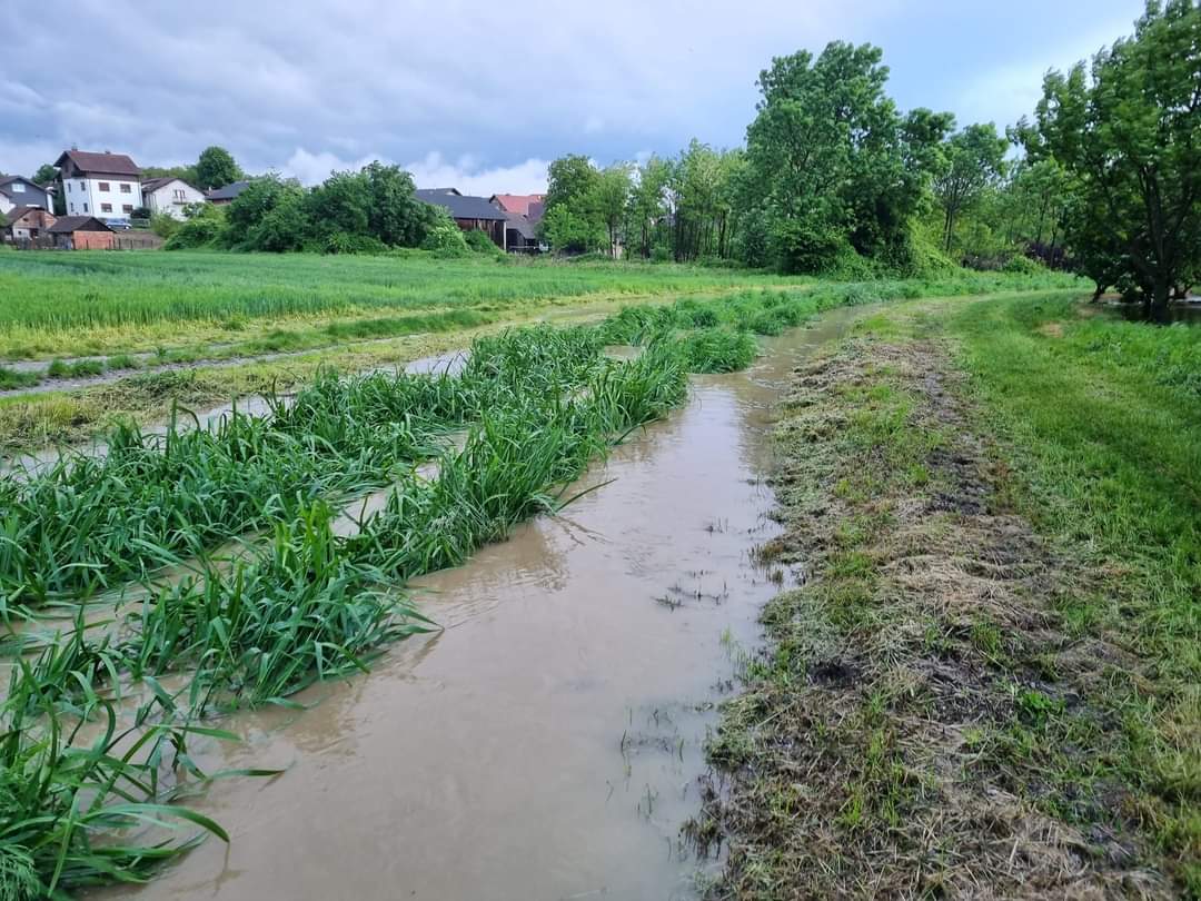 belica borščak izlio se