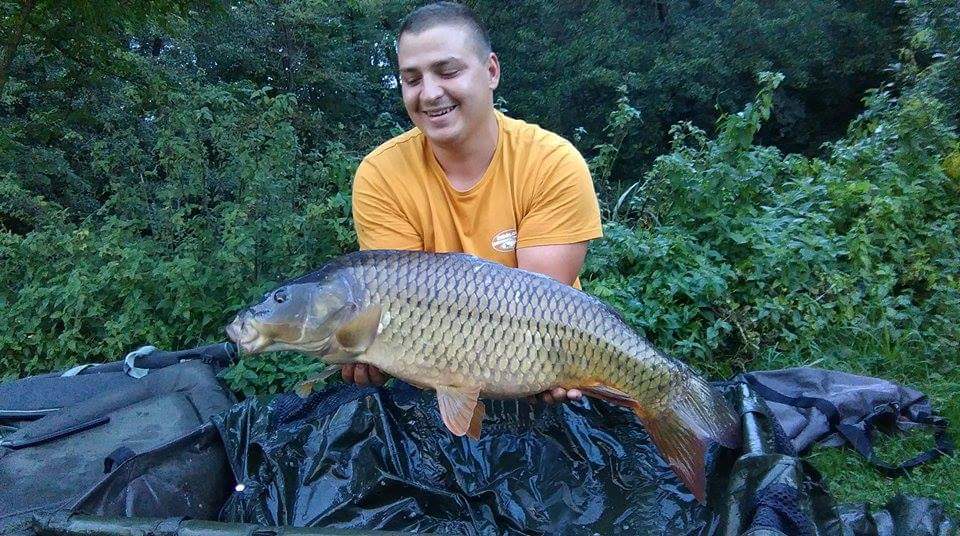 received1151398254871762578198