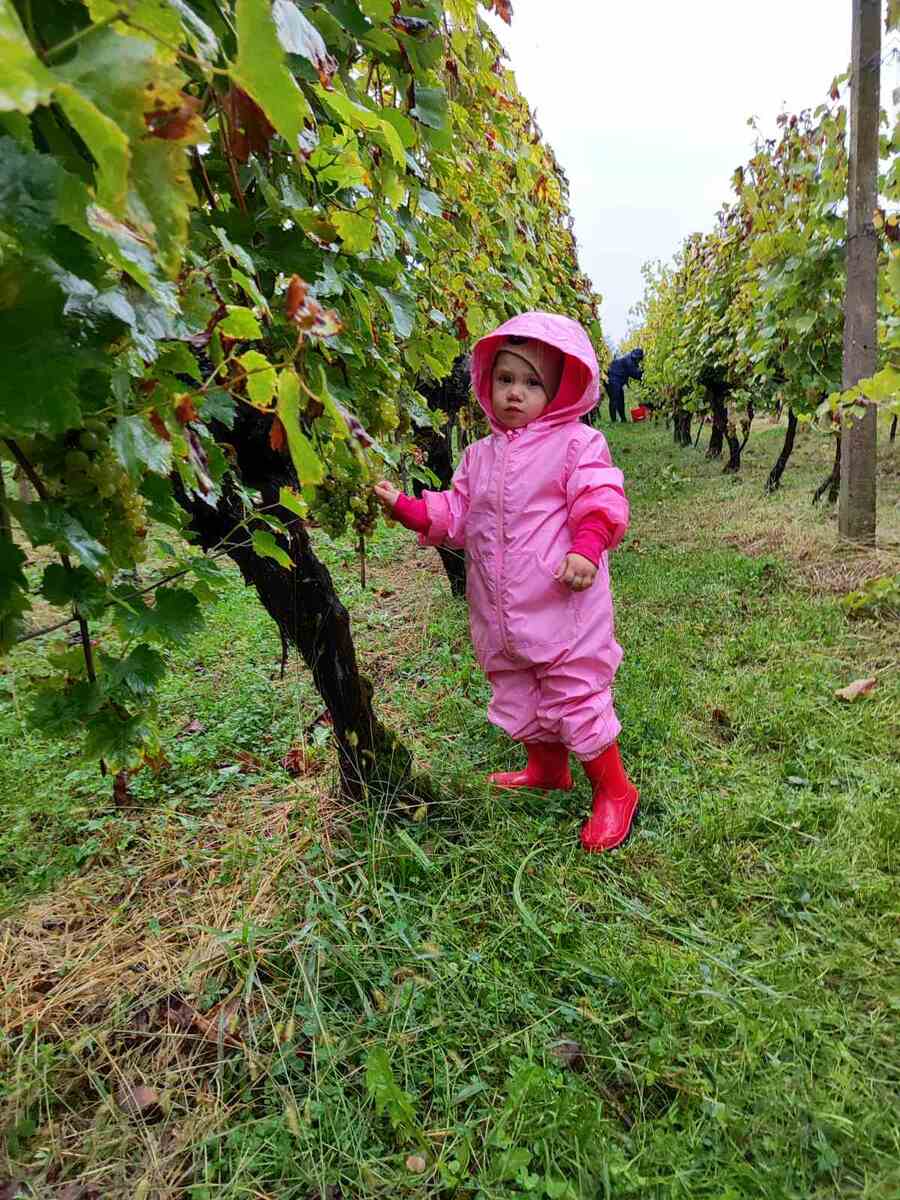 bratva sveti urban 2023 puklavec horvat