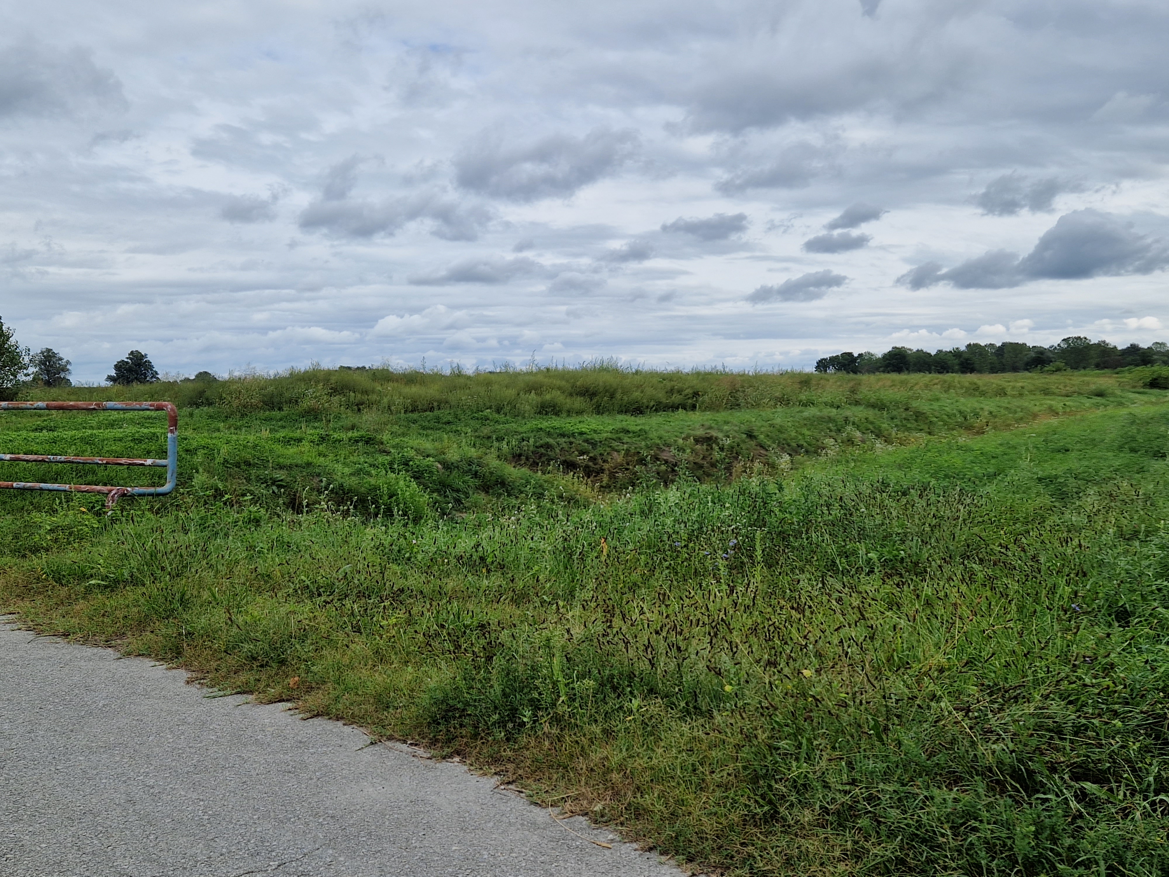 DONJI VIDOVEC ‘Sve je puno ambrozije! Zašto nitko ništa ne poduzima!?’