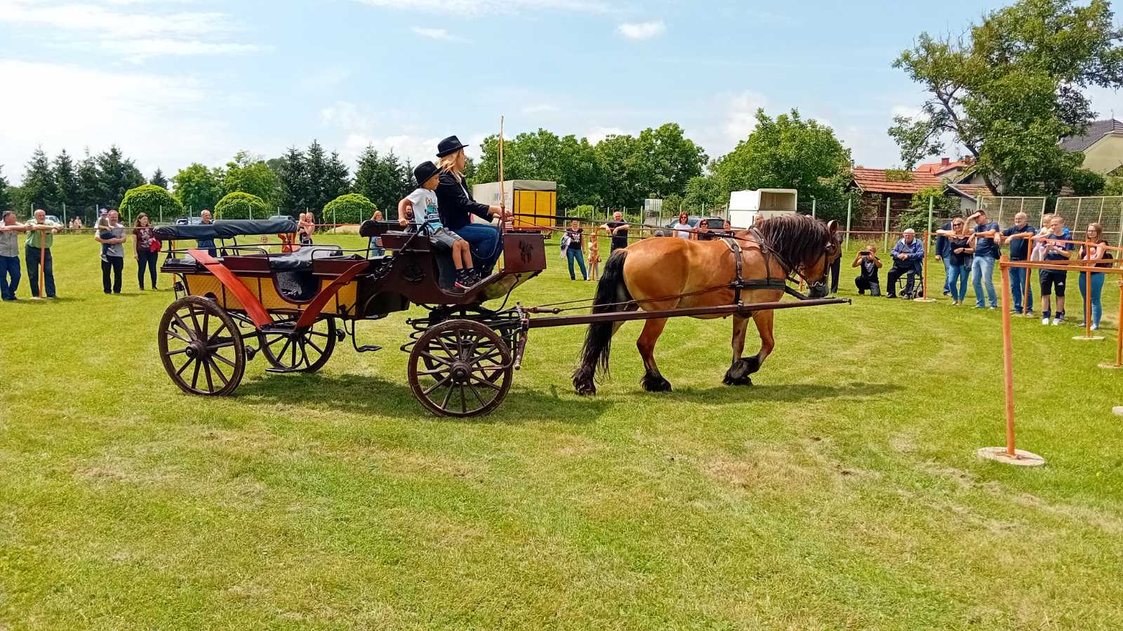PREKRASNI SU Izložba međimurskog konja u Nedelišću