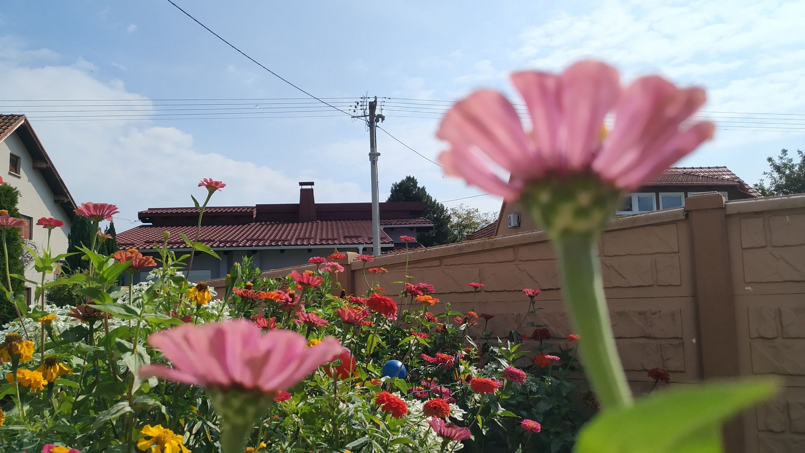 Dvorište Maje Mlakar