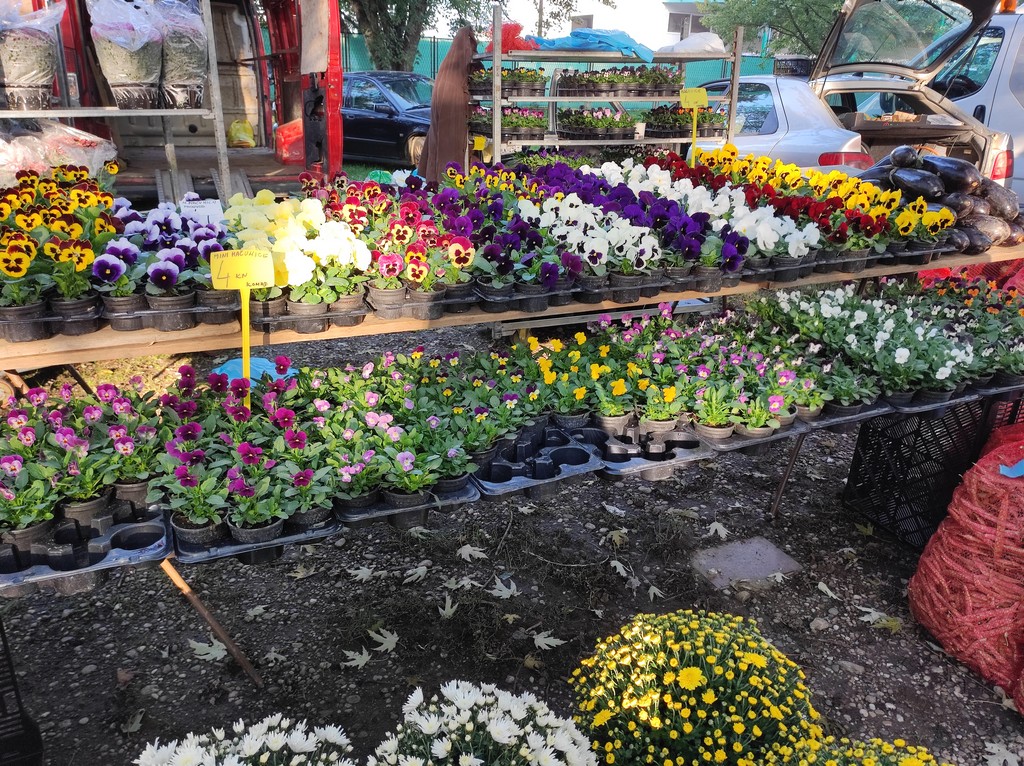 Čakovečki sajam srijedom (5.10.2022.)