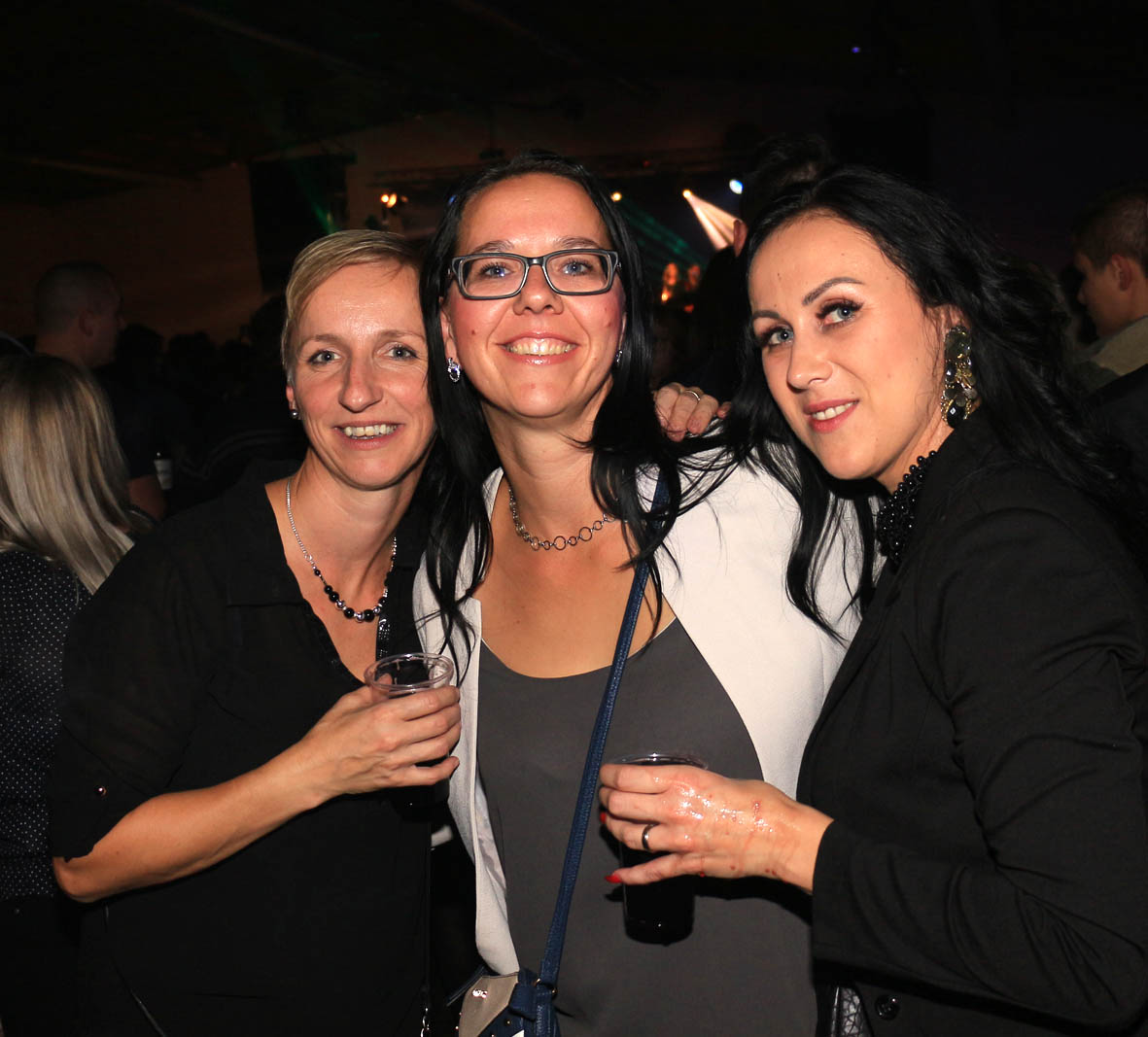 Koncert Željka Samardžića u dovrani Mesap-a u Nedelišću